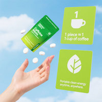 Fabricant OEM de pastilles à la menthe à la caféine pour la réduction du stress chez les adultes, saveur menthe fraîche, formule sans sucre, pastilles énergétiques