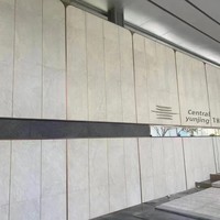 Revêtement mural, pierre de pavage, carreaux de sol en céramique, antidérapant, finition mate, minimalisme moderne, pour jardin, travaux d'ingénierie, villa, hôtel, marbre