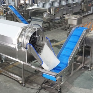 Máquina Personalizada para Lavar, Clasificar y Cortar Vegetales de Raíz: Línea de Procesamiento de Tallo de Mostaza, Lechuga, Batata y Rábano Picante - Product Image 3