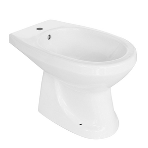 Rubinetto Bidet a Leva Felce, Lunghezza 58 cm, Larghezza 38 cm, Altezza 42 cm, per Uso Bagno - Product Image 1