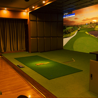 Moniteur de lancement de Golf d'intérieur simulateur de Golf moniteur de lancement de Golf