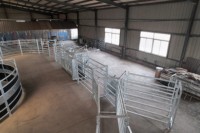 Sistema de Corrales para Ganado Galvanizado de Alta Calidad, Paneles de Cerca para Ganado y Fabricante de Equipos para Corrales