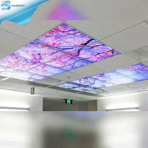 2X2 2X4 <span class=keywords><strong>Led</strong></span>-Drop-Plafond Armatuur Lightdims Blue Sky Cloud Plafond Licht Klaslokaal Lamp Diffuser Plastic Covers Vervanging - Product Image 1