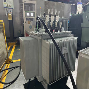 यवी एस 11 30kva 50kva 15kv तेल ने तीन वितरण बिजली ट्रांसफार्मर iec60076 आईएसओ से कम 2 वर्ष की वारंटी - Product Image 6