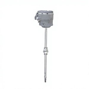 Medidor de Flujo Másico de Gas Térmico E+H Endress Hauser Tipo Dividido con Cable de 20m, Pantalla y Teclas, China - Product Image 1