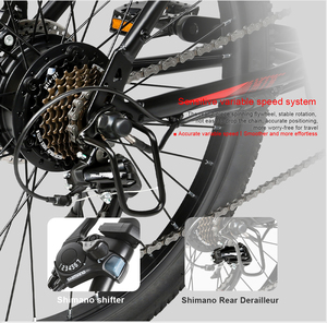 Vélo de montagne électrique 350D 24 pouces, livraison gratuite depuis un entrepôt UE, EBE2 EBIKE - Product Image 6