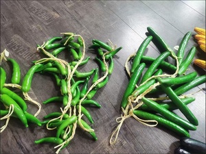 Decorazioni Natalizie da Appendere: Fiori e Verdure Artificiali a Forma <span class=keywords><strong>di</strong></span> Peperoncino Piccante Realistico per la Casa - Vendita all'Ingrosso - Product Image 5
