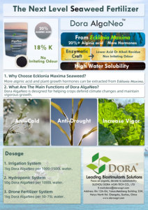 مسحوق رقائق سماد عضوي من Dora Alganeo ، خلاصة أعشاب بحرية بحمض الألجنيك عالي للموز - Product Image 3