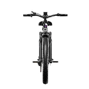 Hezzo S700 Scooter Eléctrico de Dos Ruedas para Adultos con Motores Duales de 2000W, Resistente al Agua, Suspensión Delantera, Control por Aplicación, 25km/h, Aluminio, 120kg, HS-04PR - Product Image 5