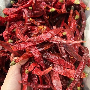 Chile Rojo Seco Entero de Guizhou/Sichuan, Producto de Granja Agrícola, Súper Picante, Tipo Bala - Product Image 4