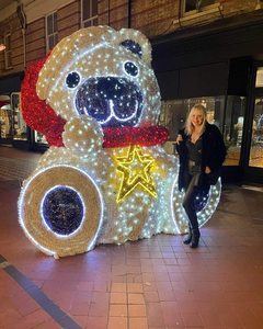 Lampe d'extérieur IP65 en forme d'ours de Noël 3D, lampe animale de dessin animé pour la décoration de centres commerciaux, festivals et vacances - Product Image 1