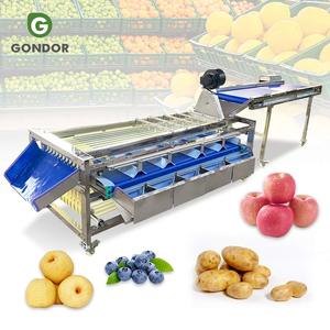 Machine de triage et de calibrage de fruits (papaye, abricot, citron, noix de coco, grenade, agrumes, orange) par le poids, en promotion pour le kiwi - Product Image 1