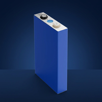 Sel Baterai LiFePO4 Solid State Ev E EV E105 3.2V 105Ah untuk Penyimpanan Energi Rumah Tenaga Surya dengan 6000 Siklus