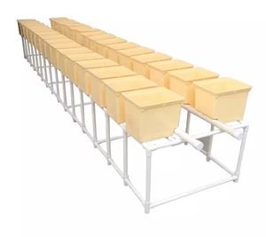 Sistema hidropónico agrícola, Cubo de Bato holandés de plástico para cultivo de frutas y verduras - Product Image 4