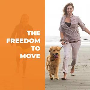 כמוסות גלוקוזאמין כונדרויטין כורכום <span class=keywords><strong>MSM</strong></span> בוסווליה של OEM לתמיכה במפרקים למבוגרים, 60 כמוסות - Product Image 4