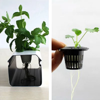 50 paniers hydroponiques noirs en plastique pour jardinage, culture hors-sol, pots de pépinière, fixation des racines des plantes