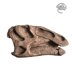 Répliques de squelette grandeur nature modèle squelette de dinosaure os de dinosaure pour musée - Product Image 6