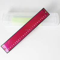 24-Hole Diatonic C Key Harmonica with Tremolo Polyphony and Chromatic Pronunciation for student