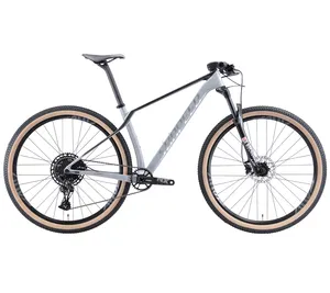 SUNPEED ROCK-diamond 29 дюймов, колесо SRAMM SX 12SPD, велосипед, карбоновый горный велосипед