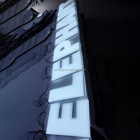 Lettres LED en acrylique éclairées sur tout le côté, longue durée de vie, pour enseigne murale extérieure d'hôtel
