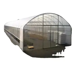 Assembled Flat Oval Tube Plastic Film Tunnel Inflation Greenhouse for Vegetable/Lettuce/Tomato/Crops/Cucumber/Strawberry/Flower