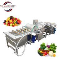 Industriële bubbelwasmachine voor fruit- en groenteverwerkingsbedrijven