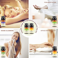 Top Qualité 100% Pure Qualité Thérapeutique 10ml Huile De Lavande 6 Packs Aromathérapie Huiles Essentielles Pour Diffuseur Relaxation Calmant