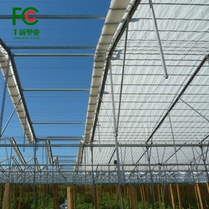 Film plastique de bâche de serre PE tissé renforcé traité aux UV pour une protection durable des fraises en milieu agricole - Product Image 1