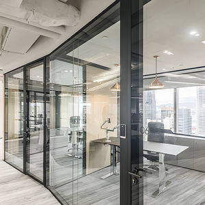 Multi uso di scena della parete divisoria decorativa dell'ufficio di vetro cubico incorniciato di alluminio della parete con il disegno di bellezza - Product Image 4