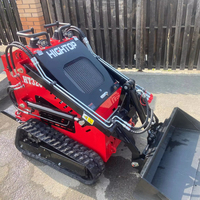 Caricatori idraulici Mini Skid-Steer terne Micro caricatori con accessori fooaderjapengine Componentsr Farms Home Use