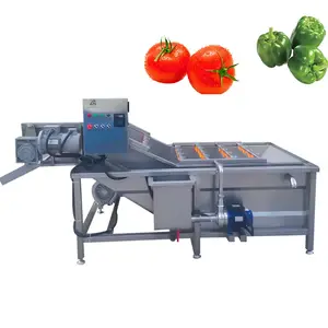 Kabarcık sprey küçük domates temizleme hattı ginseng meyve temizleme ve kurutma makinesi