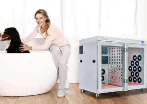 Séchoir Électrique Automatique pour Animaux de Compagnie 281L, Moderne, Luxueux, Écologique, en Acier Inoxydable, 110V/220-240V - Product Image 2