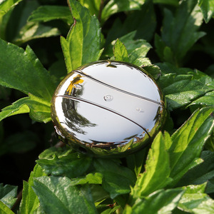 Xách Tay Máy nghe nhạc MP3 với xây dựng trong bộ nhớ, HI-FI Lossless âm thanh, USB <span class=keywords><strong>Flash</strong></span>, dây buộc và mạ điện thiết kế cho du lịch - Product Image 3