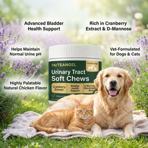 Venta al por mayor OEM: Masticables blandos para <span class=keywords><strong>el</strong></span> tracto urinario de mascotas con arándano y D-Manosa para perros y gatos, soporte para la vejiga, proveedor de marca privada personalizada. - Product Image 1