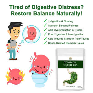 Thé aux herbes naturelles biologiques pour réchauffer l'estomac, favoriser la santé digestive et soulager les inconforts gastriques - Product Image 2