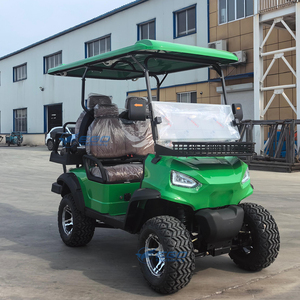 Carrito de Golf Eléctrico de Primera Calidad 2026 con Diseño Personalizado Gratuito, Buggy a Precio Económico en Venta para el Ocio Familiar en Campos de Golf - Product Image 2