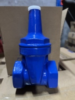 Vanne à opercule manuelle en fonte ductile, verrouillage triangulaire antivol, tige en acier inoxydable 2Cr13, joint souple Z15X-16Q PN16 DN15-DN65 pour compteur d'eau