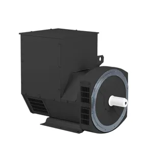 Powerful 100kva 50Hz 60Hz 80kw Brushless Generator Diesel Alternator for Industry