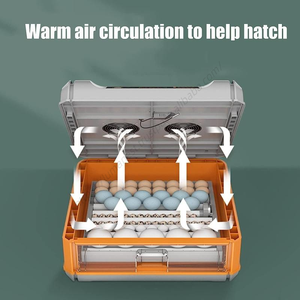 Incubateur automatique 128 œufs pour 64-320 œufs, taux d'éclosion élevé, vente en gros - Product Image 5