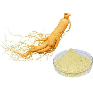 Chiết Xuất Từ Rễ Nhân Sâm Nguyên Chất Được Chứng Nhận <span class=keywords><strong>GMP</strong></span> - Product Image 1