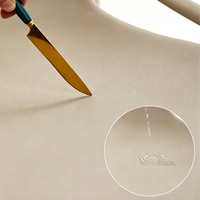 Chaise de salle à manger moderne en plastique PP ajouré avec oreilles de chat et accoudoirs, chaise d'appoint empilable et imperméable pour restaurant, café, maison et maquillage