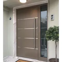 Luxe Villa Entree Beveiliging Deuren Aluminium Mentale Front Exterieur Deuren Moderne Rvs Pivot Entry Deuren Residentiële