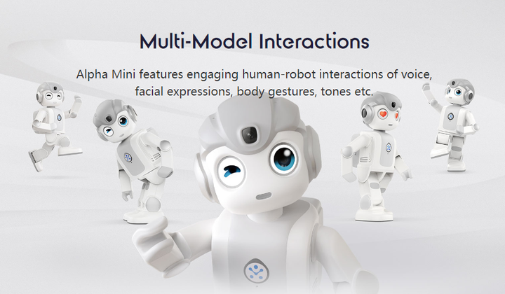 Alpha Mini AI Programmable Humanoid Robot for Kids STEM Coding Learning ...