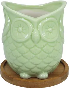 Ceramic Owl Succulent Planter Pot with Drainage Tray Cute Animal Cactus Flower Container Green Bonsai Holder for Indoor Plants