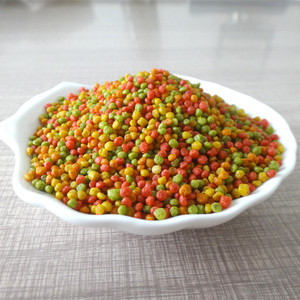 Papagaio pequeno da papagaio pelota fruta nutrição alimentos 1 kg - Product Image 3