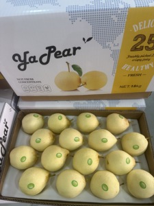 ลูกแพร์สด หวานฉ่ำ คุณภาพพรีเมียมสำหรับส่งออกจากจีน - Product Image 3