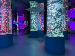 Aquarium en Acrylique Grand Diamètre, Cylindre Géant pour Poissons et Grands Bacs à Poissons - Product Image 6