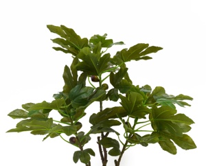 Oh Nghệ Thuật Chất Lượng Cao Tùy Chỉnh Nhân Tạo Cây vả 80 Cm Trong Màu Đen Nồi Màu Xanh Lá Cây Trong Nhà Ngoài Trời Nhà Văn Phòng Trang Trí Nội Thất Nhà Máy Giả - Product Image 2