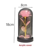 Roses éternelles colorées, idéales comme cadeau pour la fête des mères, et peuvent également être utilisées pour les mariages ou la décoration de chambre.