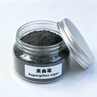 Poudre Fongique Thermo-Stable Résistante aux Granulés Aspergillus Niger 5 Milliards UFC/g Additif Alimentaire pour l'Alimentation des Volailles et du Bétail en Granulés à Haute Température